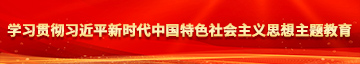 大鸡巴肏屄视频学习贯彻习近平新时代中国特色社会主义思想主题教育